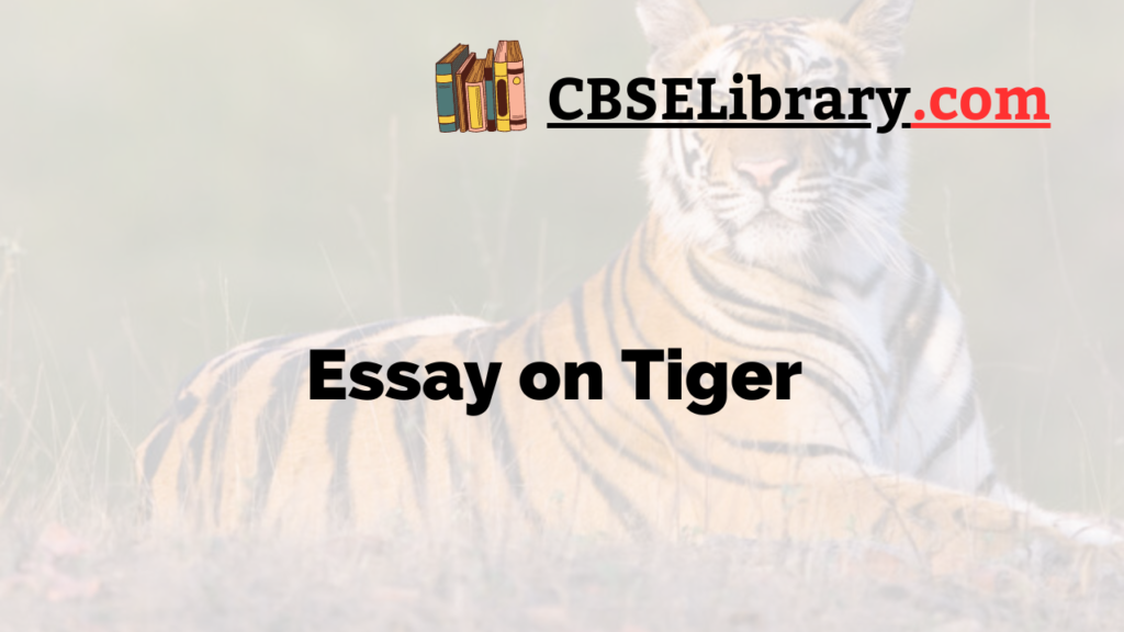 essay on tiger cub