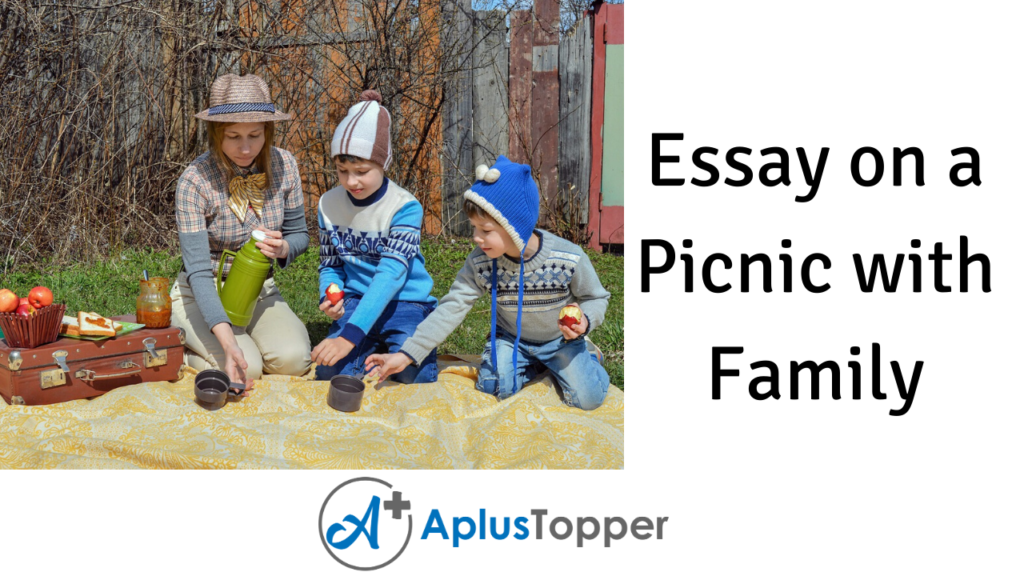 Essay on a Picnic with Family A Picnic with my Family Essay for