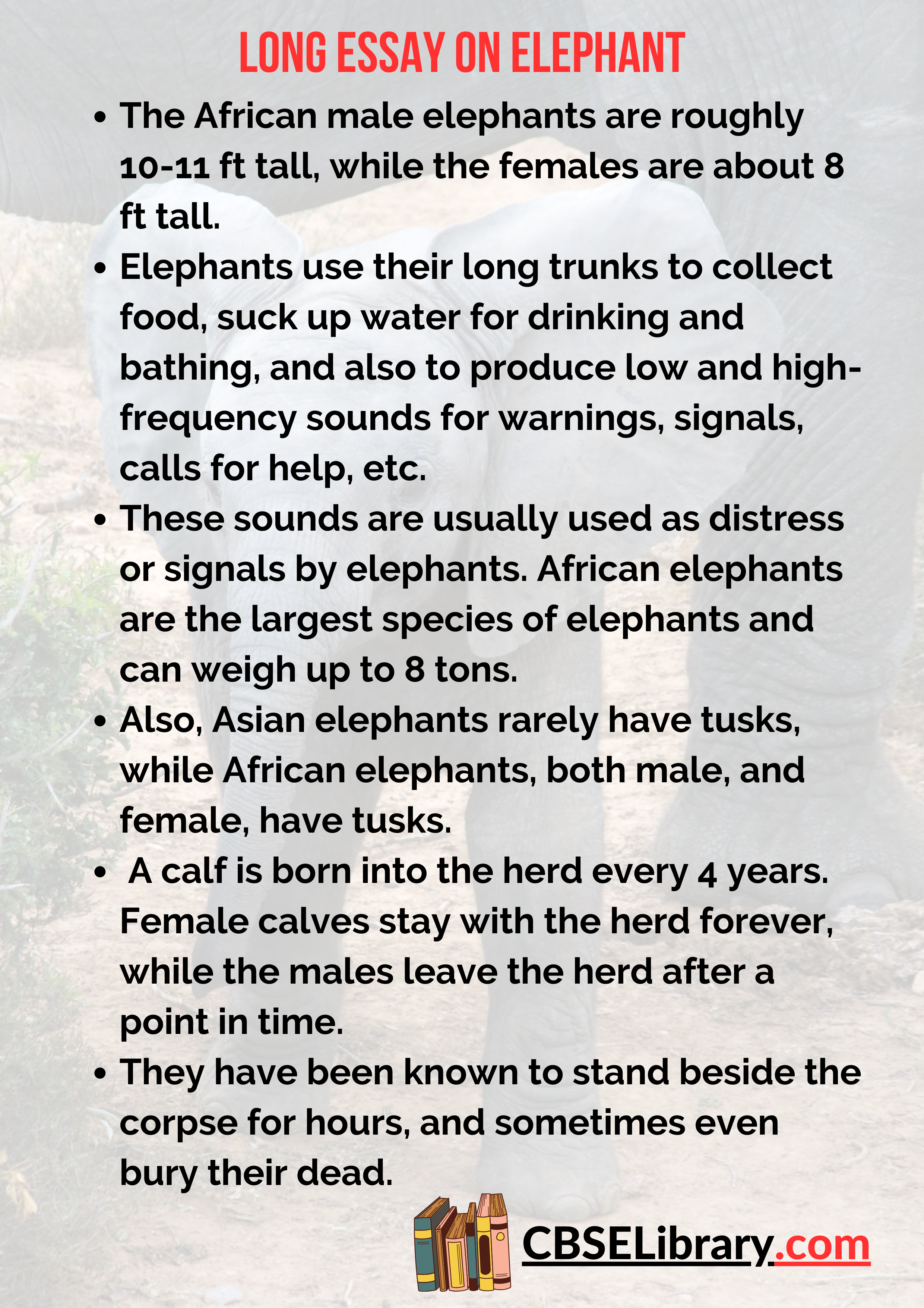 Long Essay on Elephant