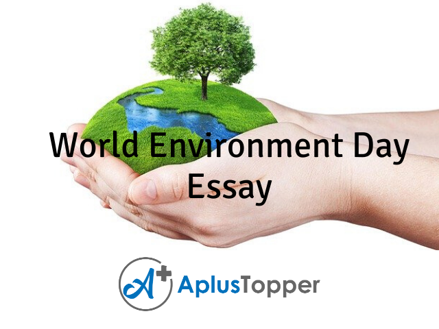 environment day essay for class 3