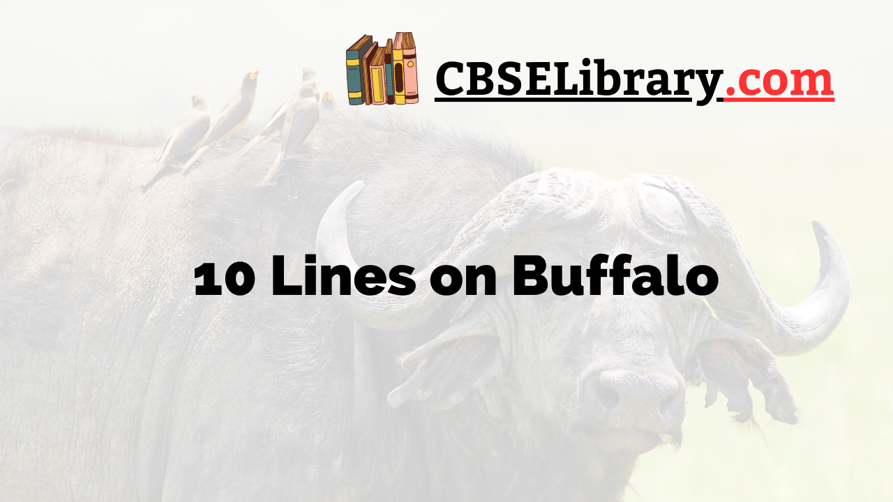 10 Lines on Buffalo