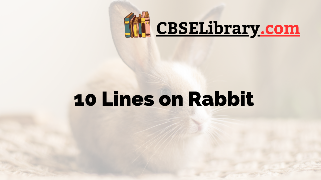 10 Lines on Rabbit