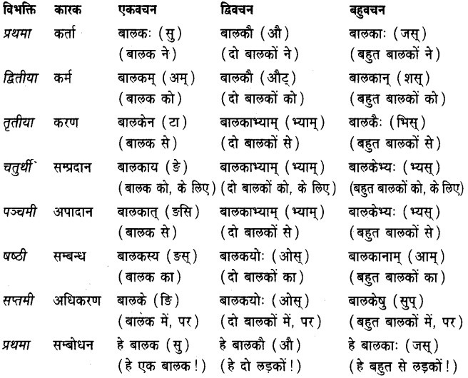 Balak Shabd Roop In Sanskrit