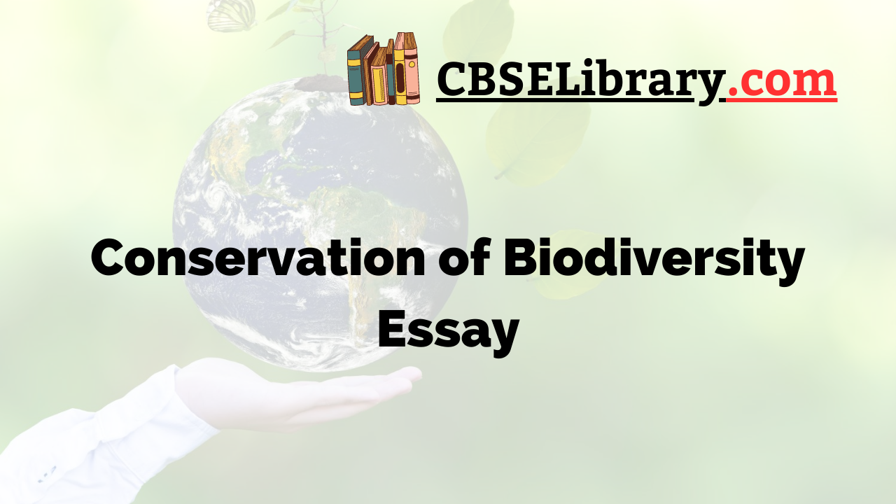 Conservation of Biodiversity Essay