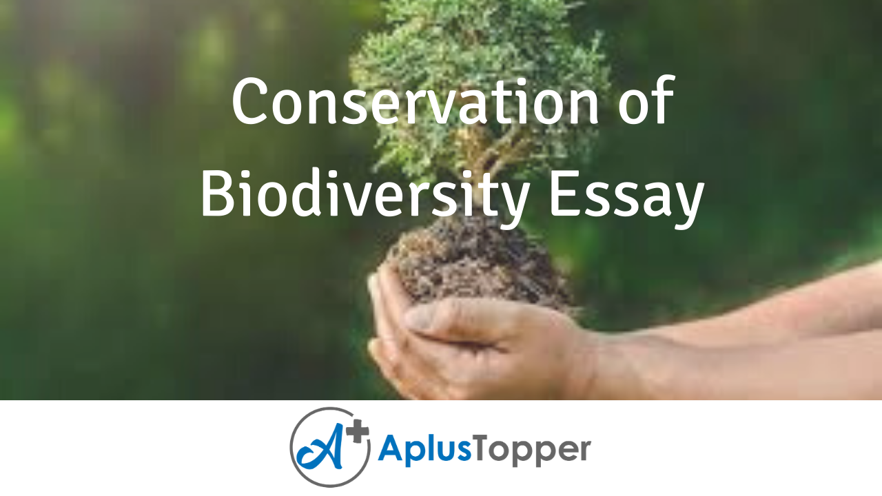 essay conservation of biodiversity