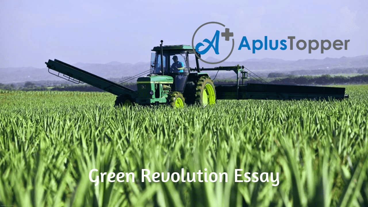 green revolution essay 700 words