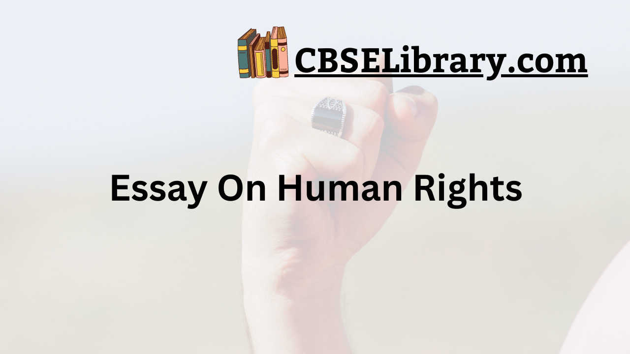 Essay On Human Rights