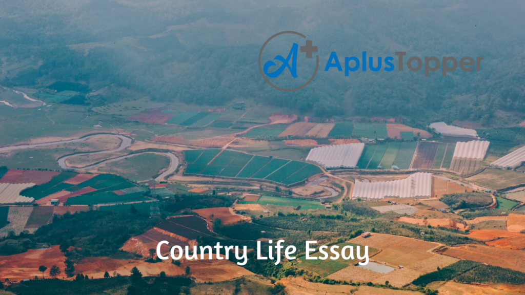 an essay on country life