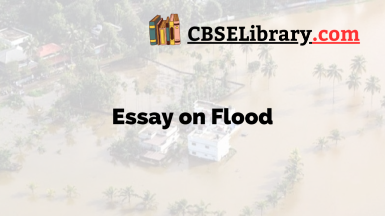 my flood experience essay 120 words