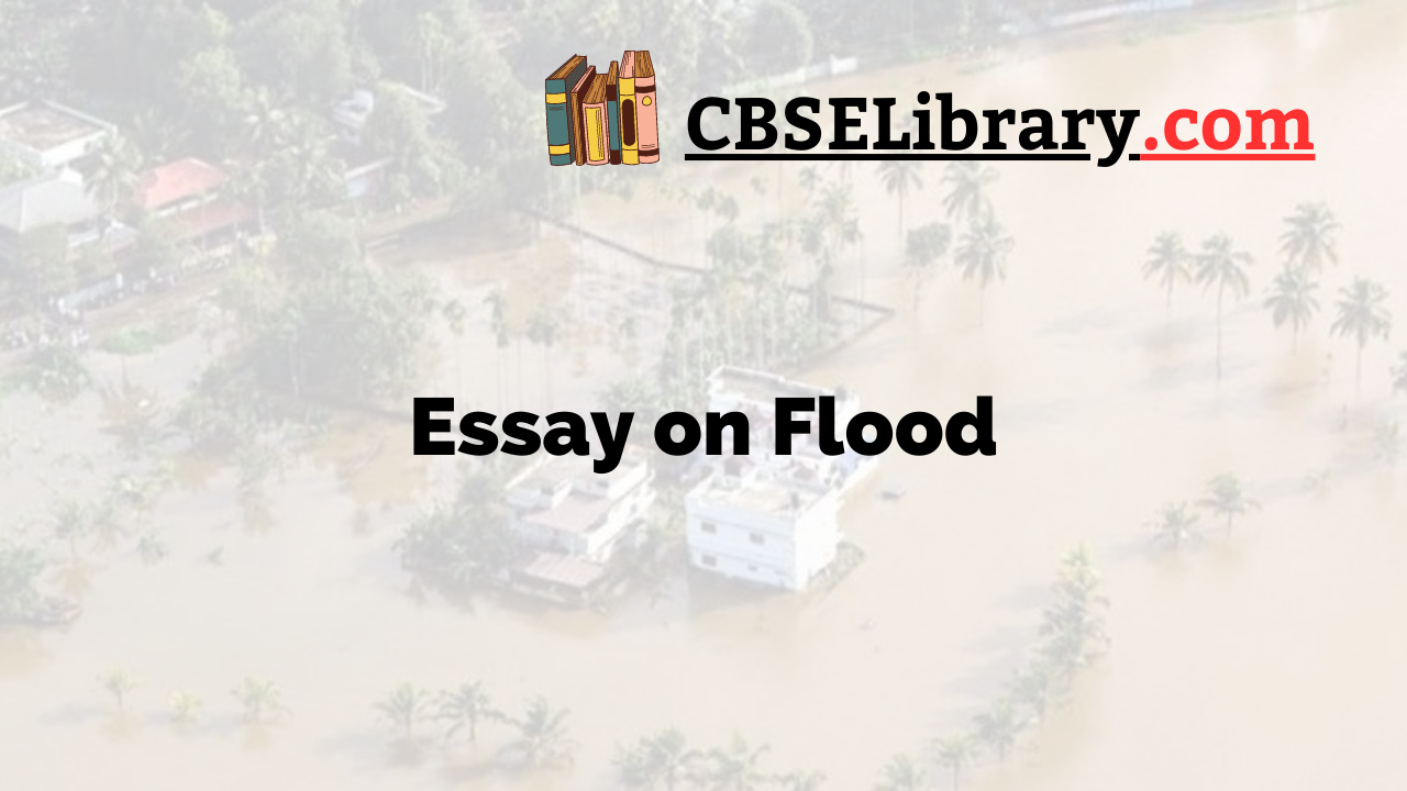 Essay on Flood