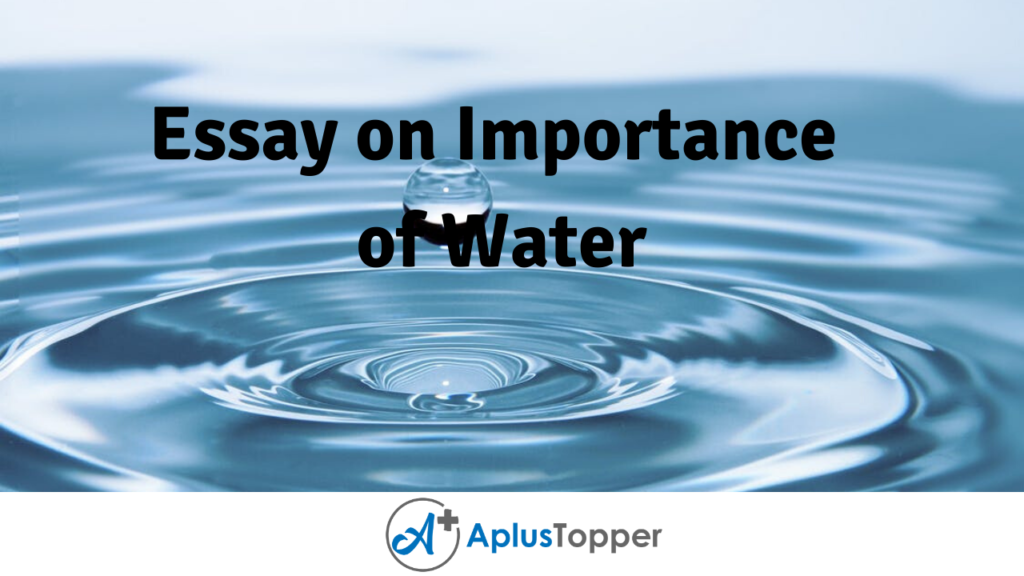 aqa biology importance of water essay