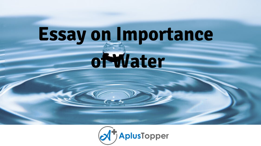 importance of water essay for class 2