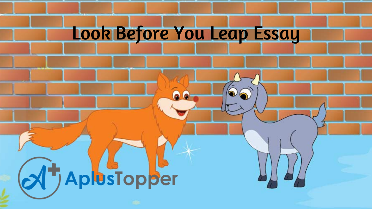 write a creative writing on look before you leap