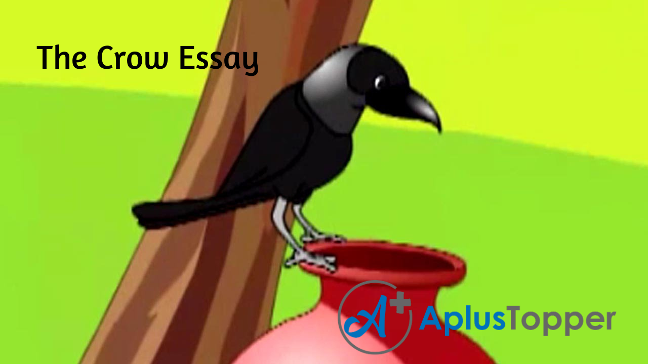 The Crow Essay