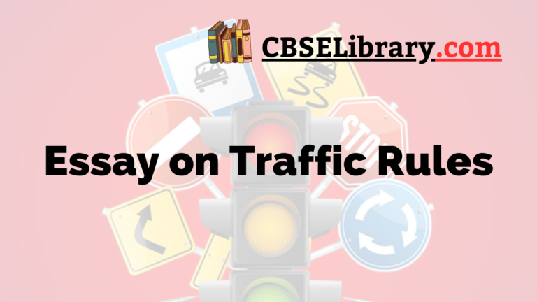 essay on value of traffic rules