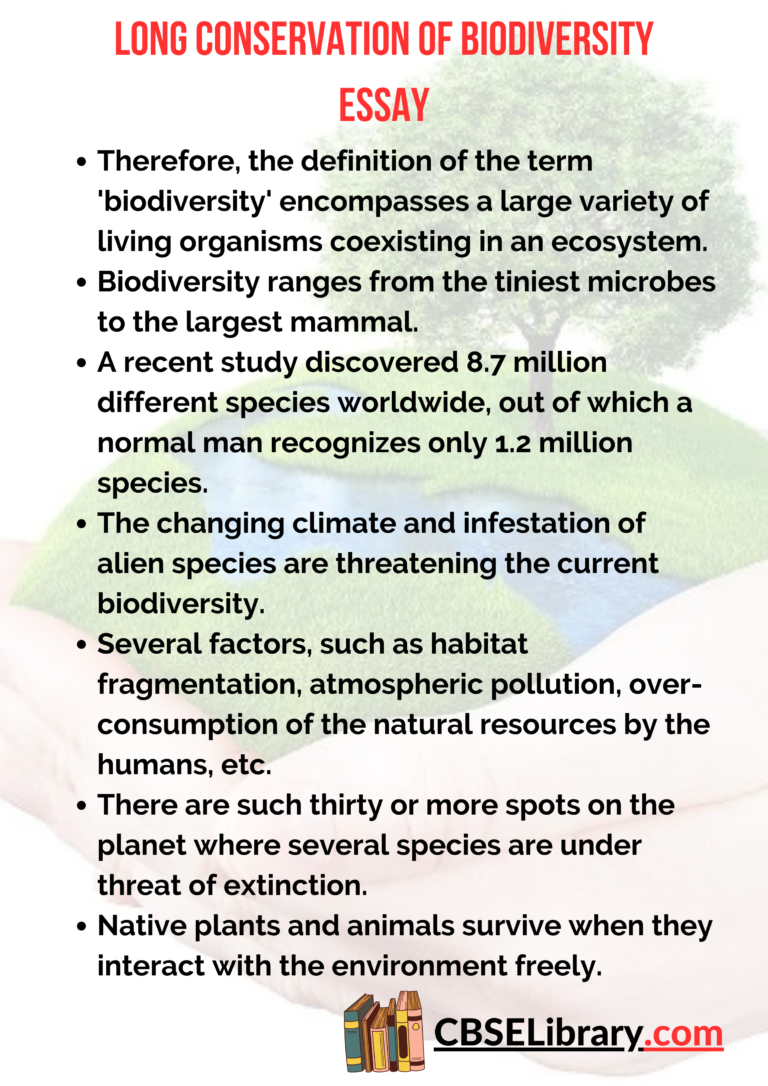 biodiversity essay 100 words
