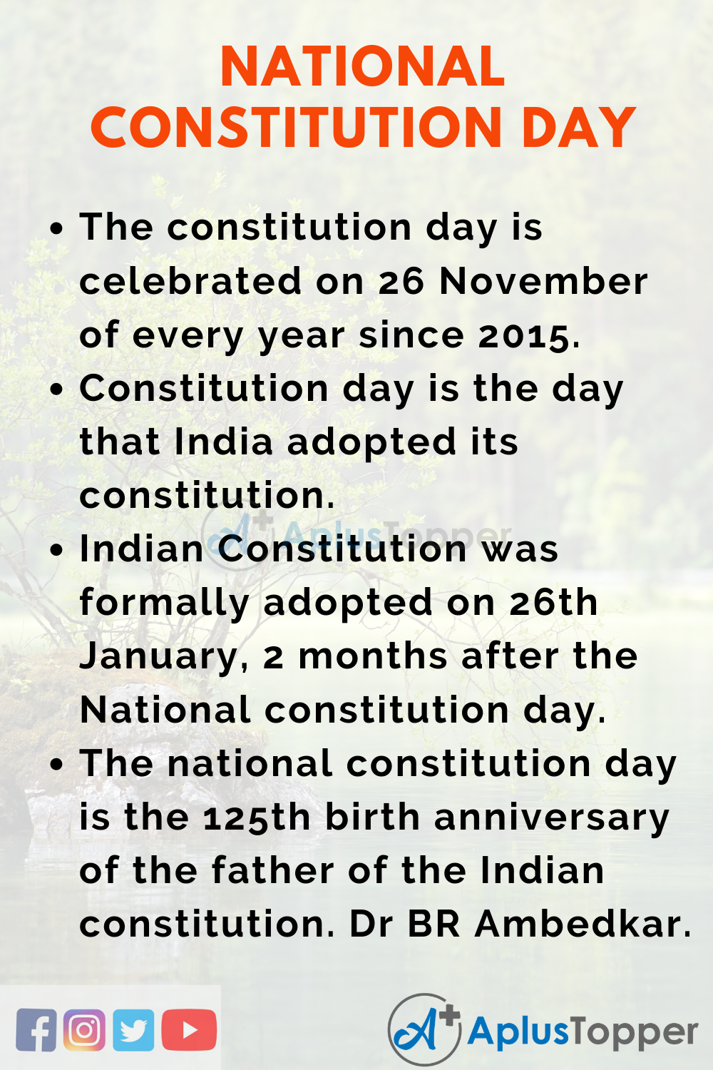 National Constitution Day Essay