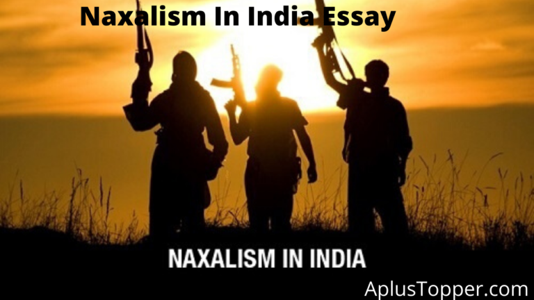 essay on naxalism in india