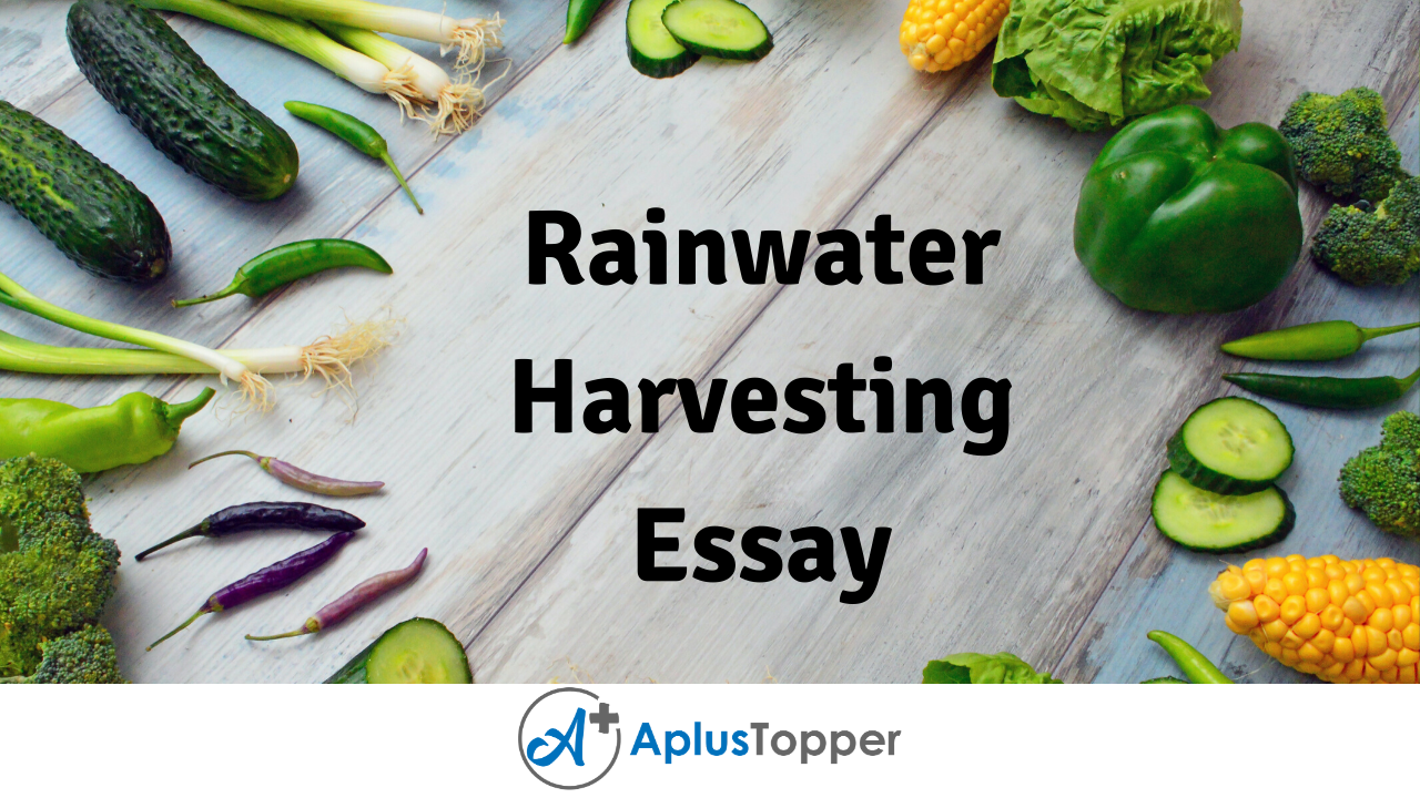 essay in english about rain water harvesting