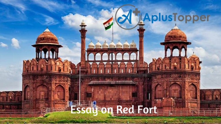 english class 6 red fort essay in english