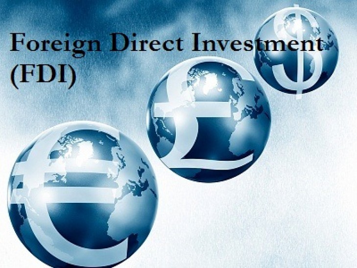 Essay On Foreign Direct Investment