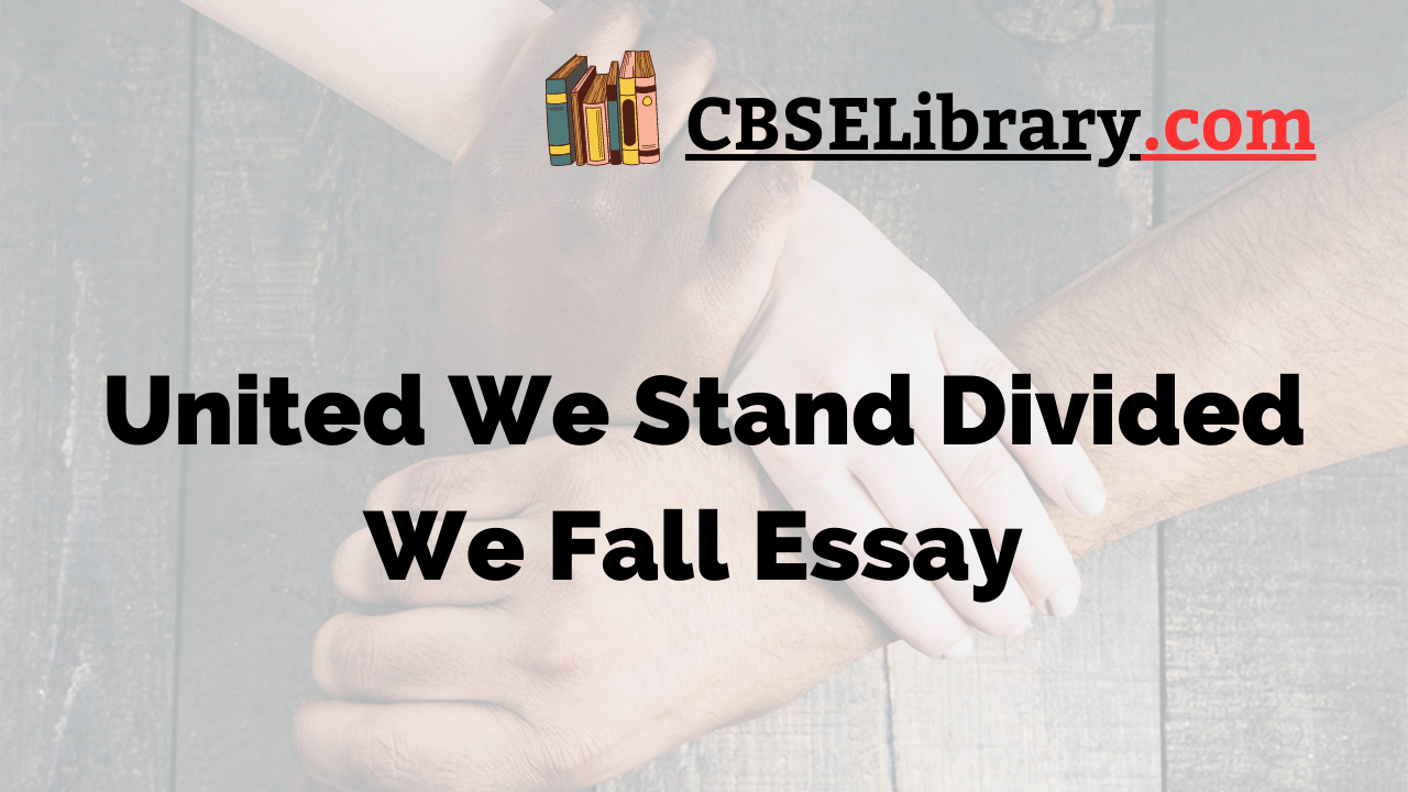 United We Stand Divided We Fall Essay