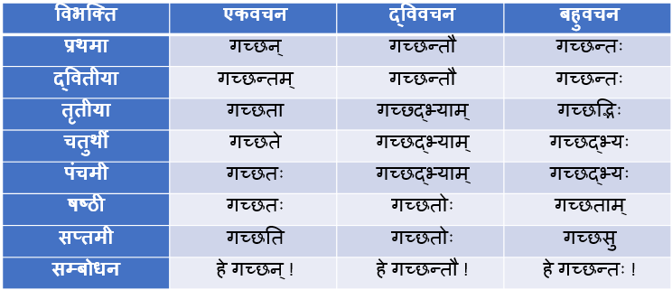 Gachchhat Ke Shabd Roop In Sanskrit