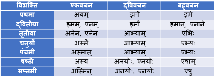 Idam Pulling Shabd Roop In Sanskrit