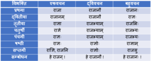 Rajan Ke Shabd Roop In Sanskrit - राजन शब्द के रूप - भेद, चिह्न उदाहरण