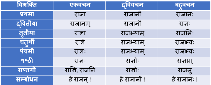 Rajan Ke Shabd Roop In Sanskrit