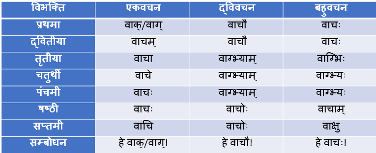 Vaach Ke Shabd Roop In Sanskrit