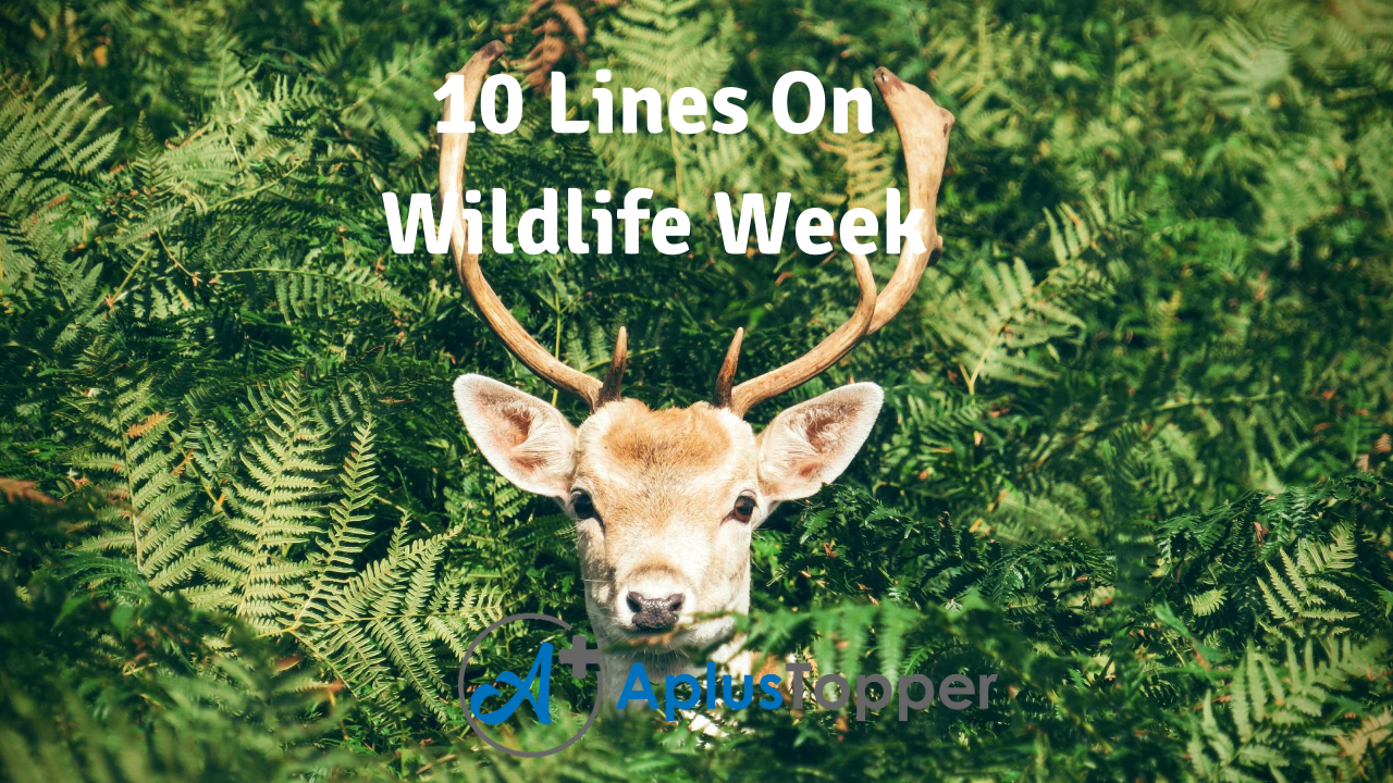 10 Lines On Wildlife Week