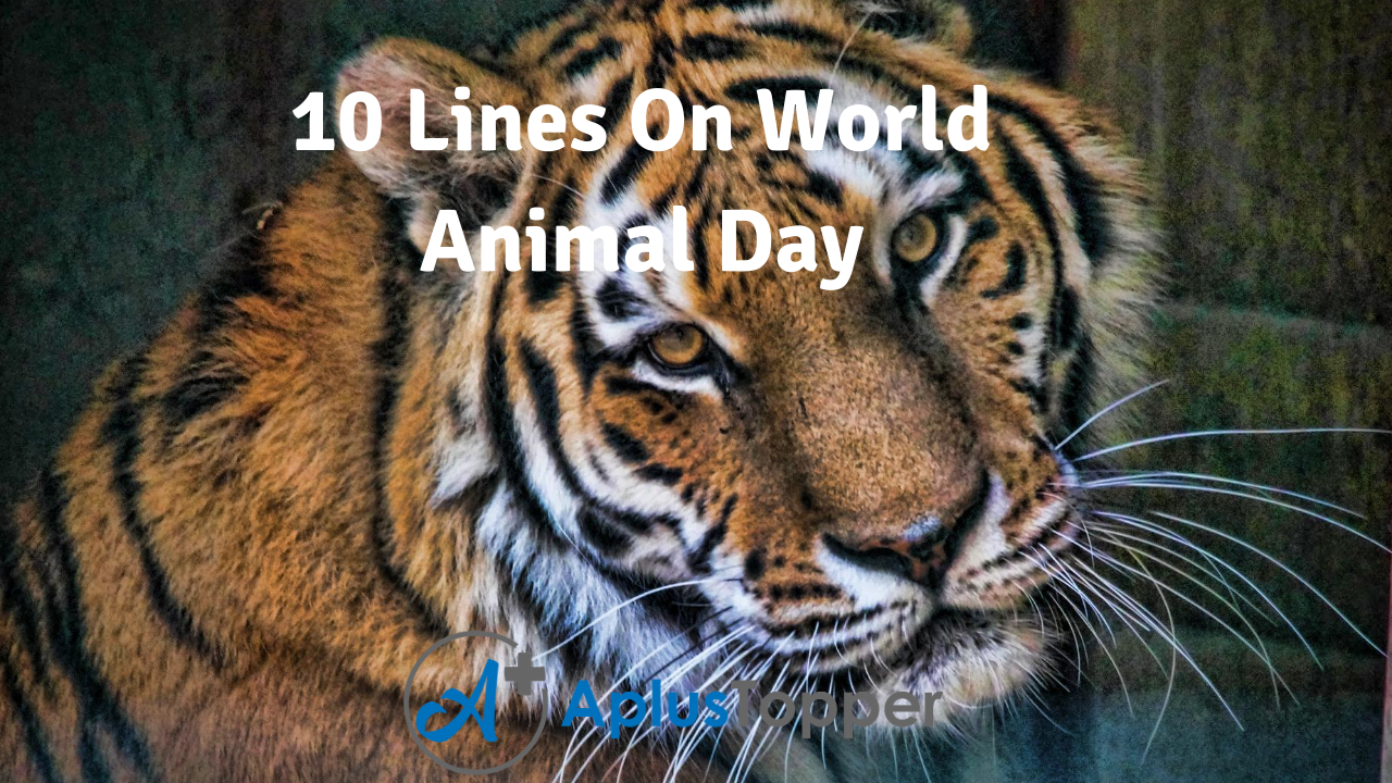 10 Lines On World Animal Day