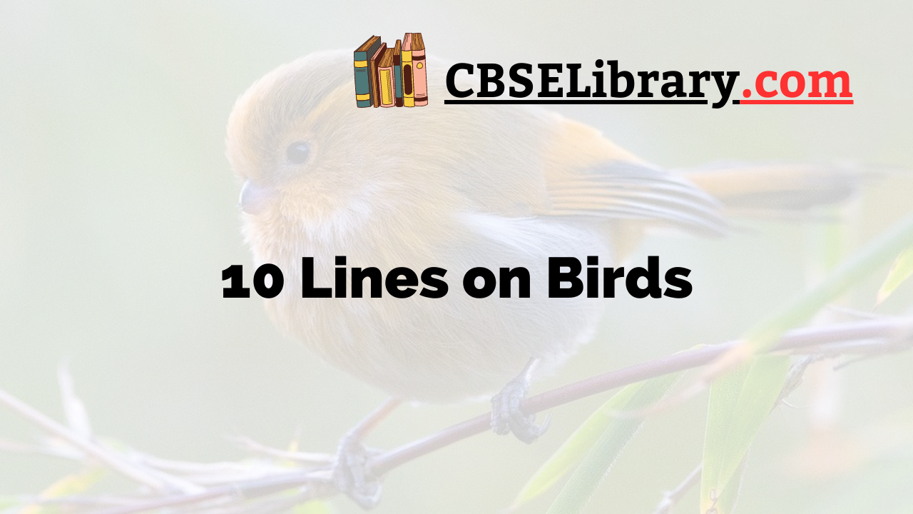 10 Lines on Birds