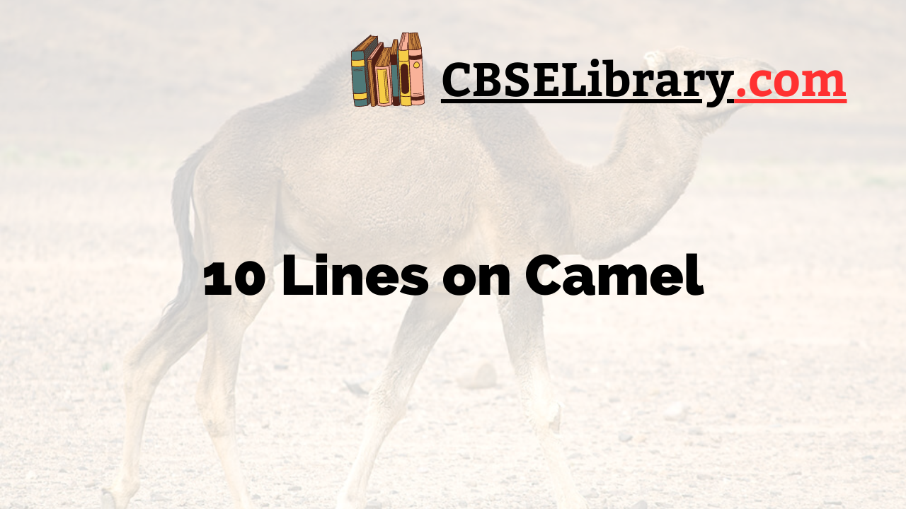 10 Lines on Camel