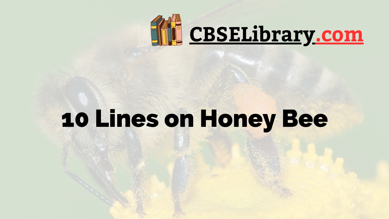 10 Lines on Honey Bee