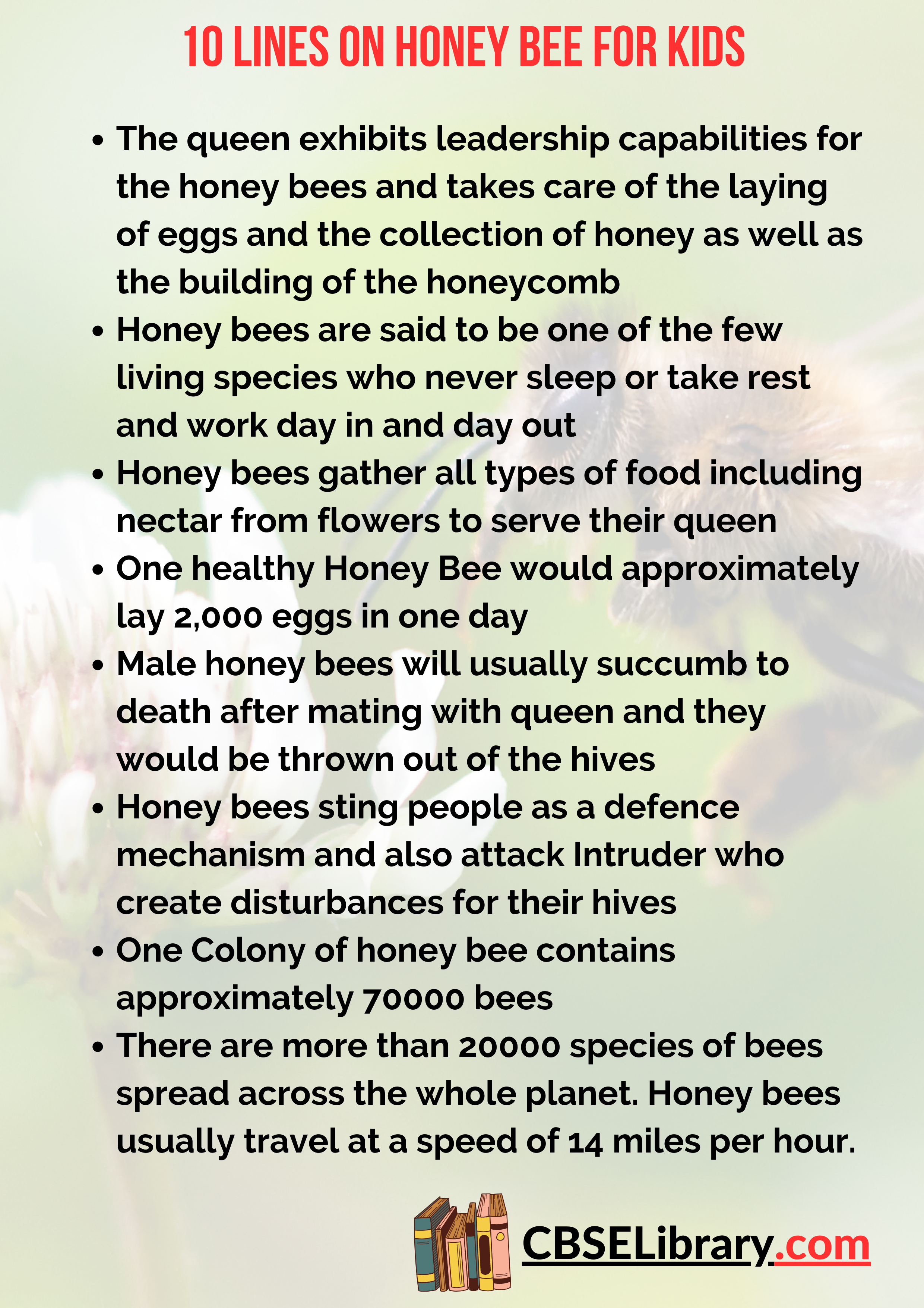10 Lines on Honey Bee for Kids