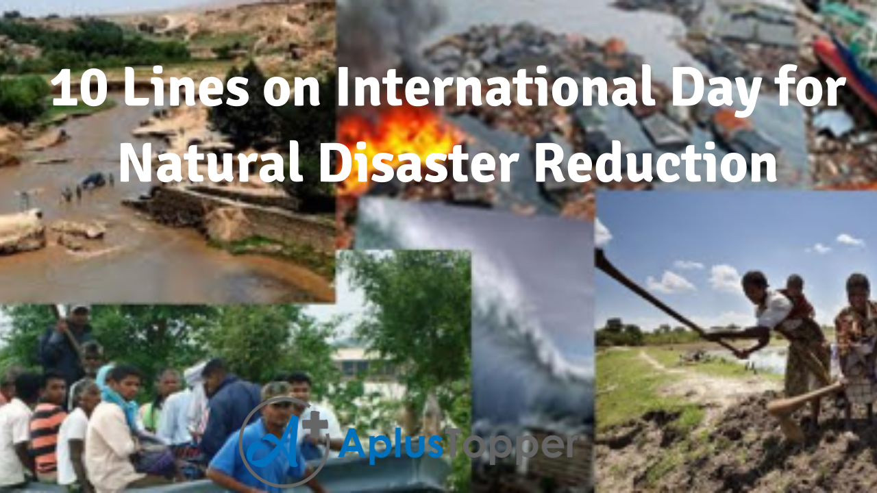 10 Lines on International Day for Natural Disaster Reduction