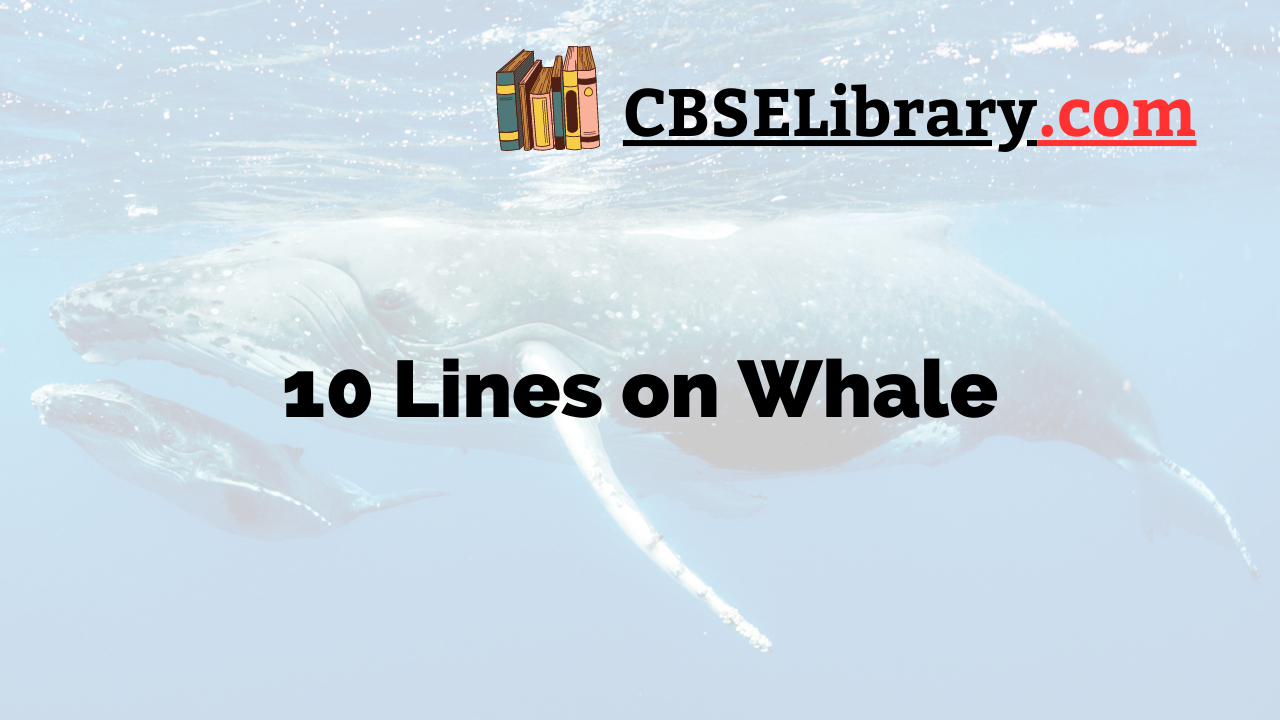 10 Lines on Whale