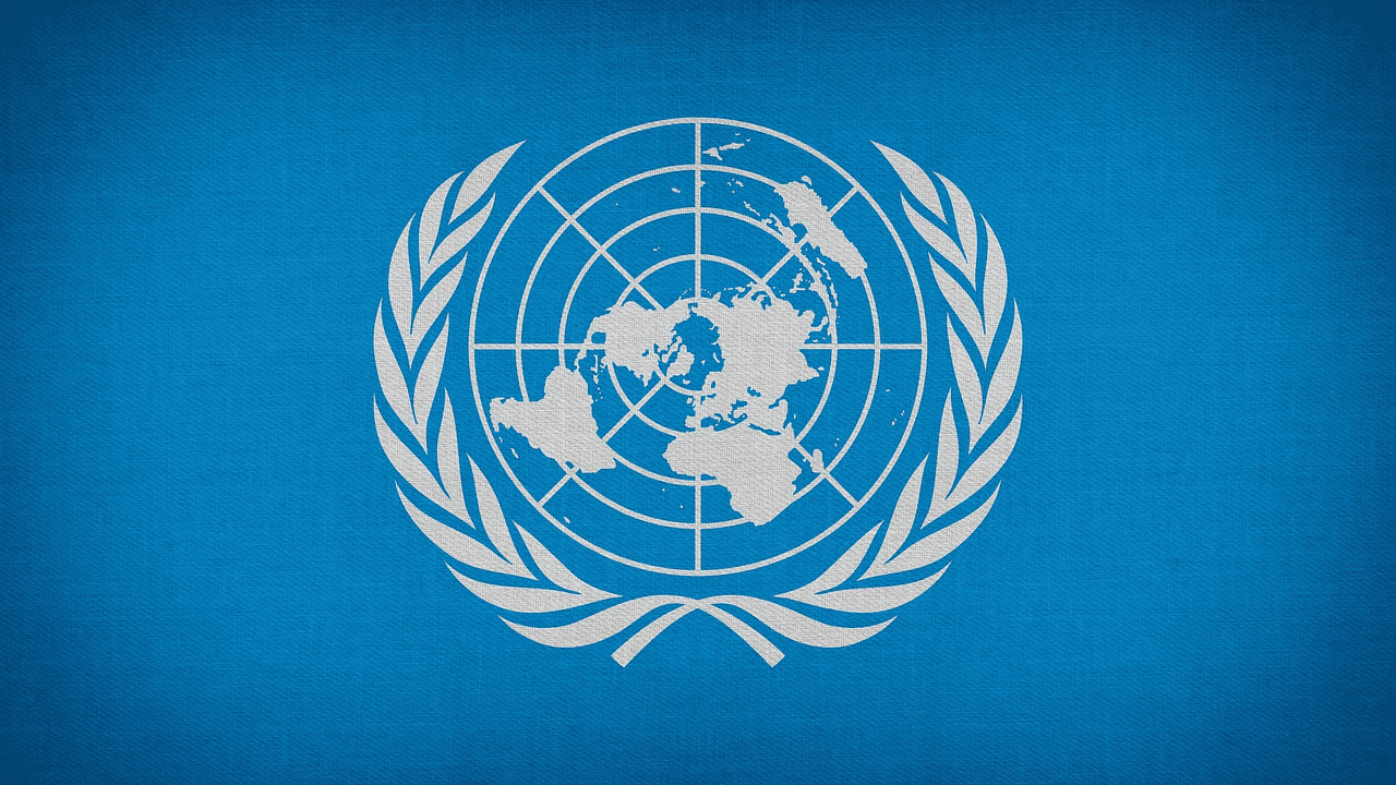 An Essay on United Nations Organisation