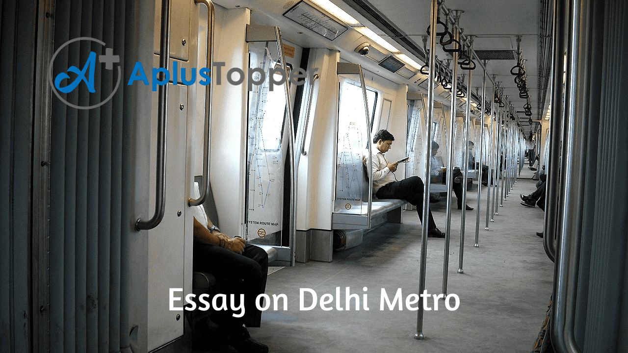 Delhi Metro Essay