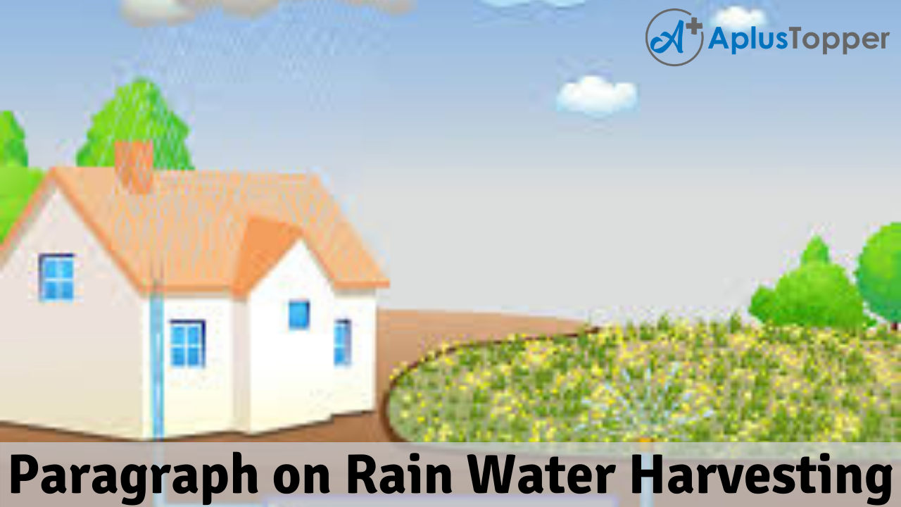 Paragarph on Rain Water Harvesting
