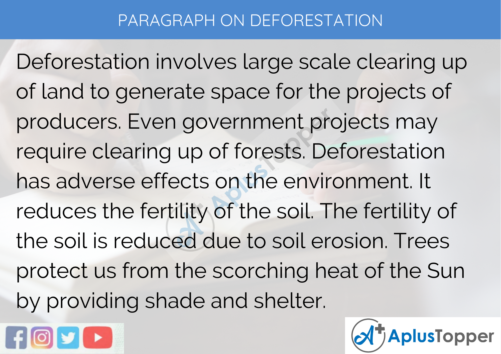Paragraph On Deforestation - 100 Words for Classes 1, 2, 3 Kids