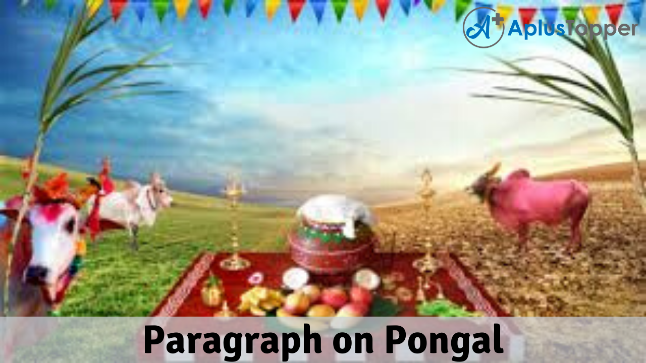 Paragraph On Pongal