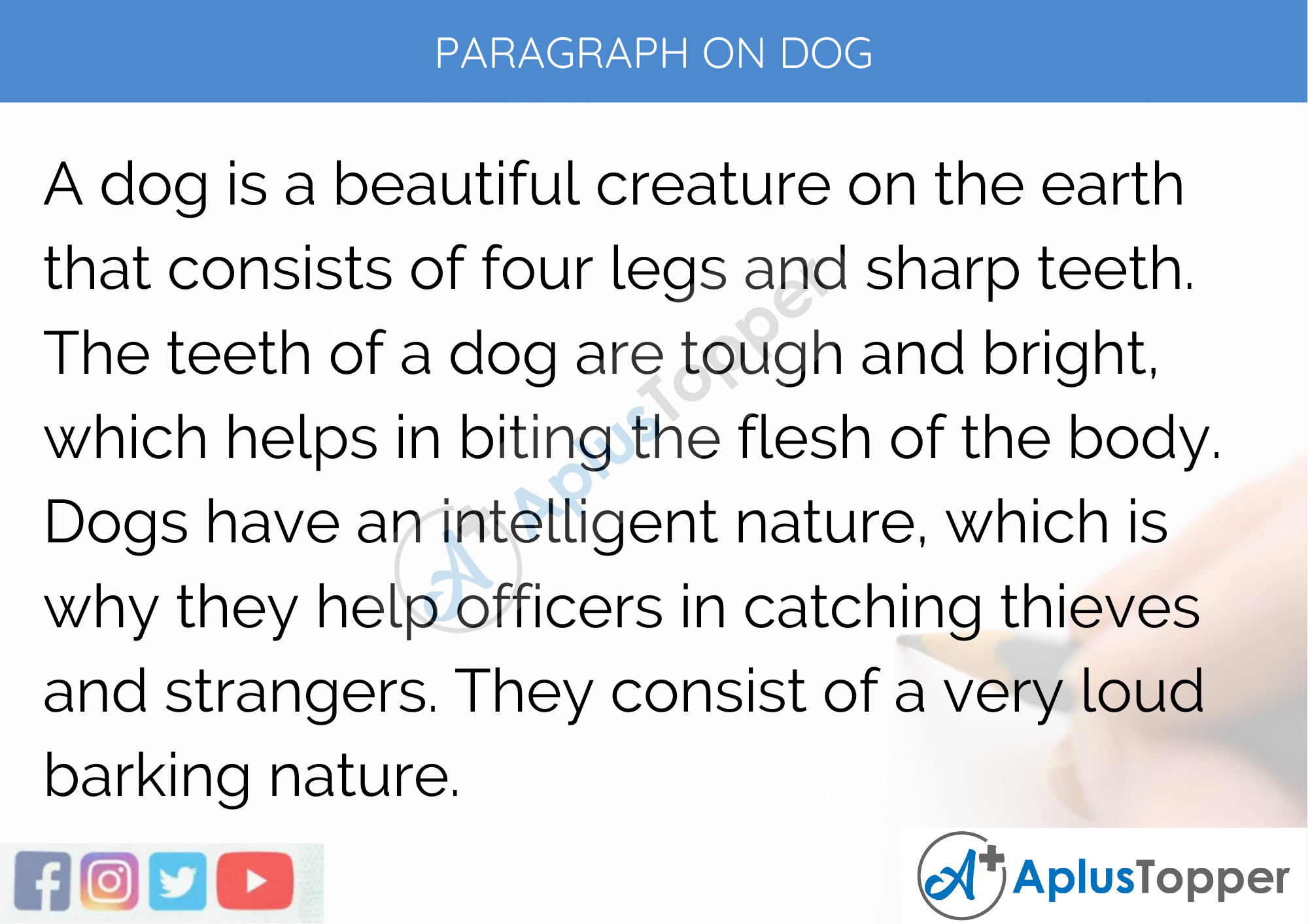 Paragraph on Dog - 250 to 300 Words for Classes 9, 10, 11, 12 and Competitive Exam Students