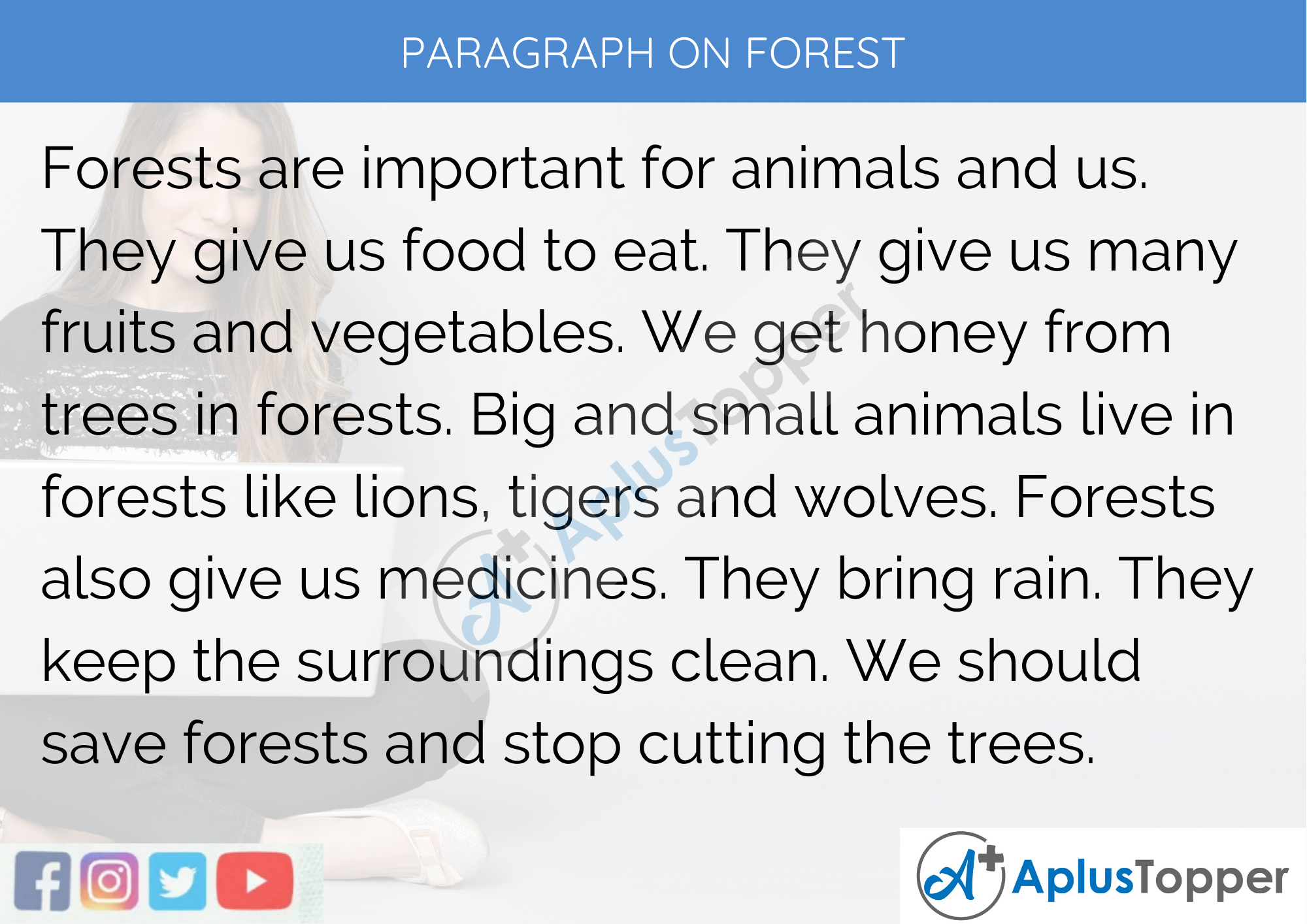 essay on forest for class 5