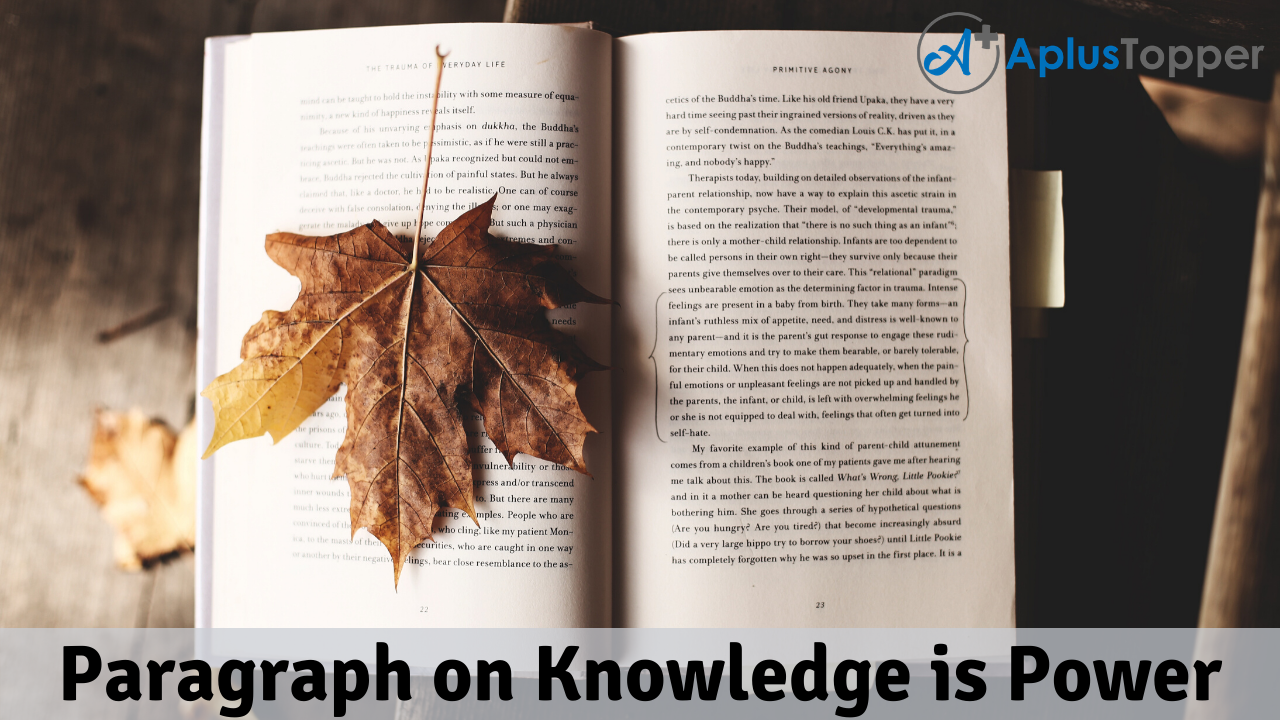 Paragraph on Knowledge is Power