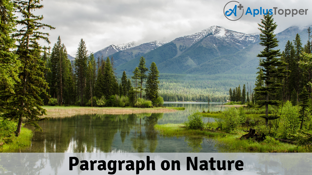 Paragraph on Nature