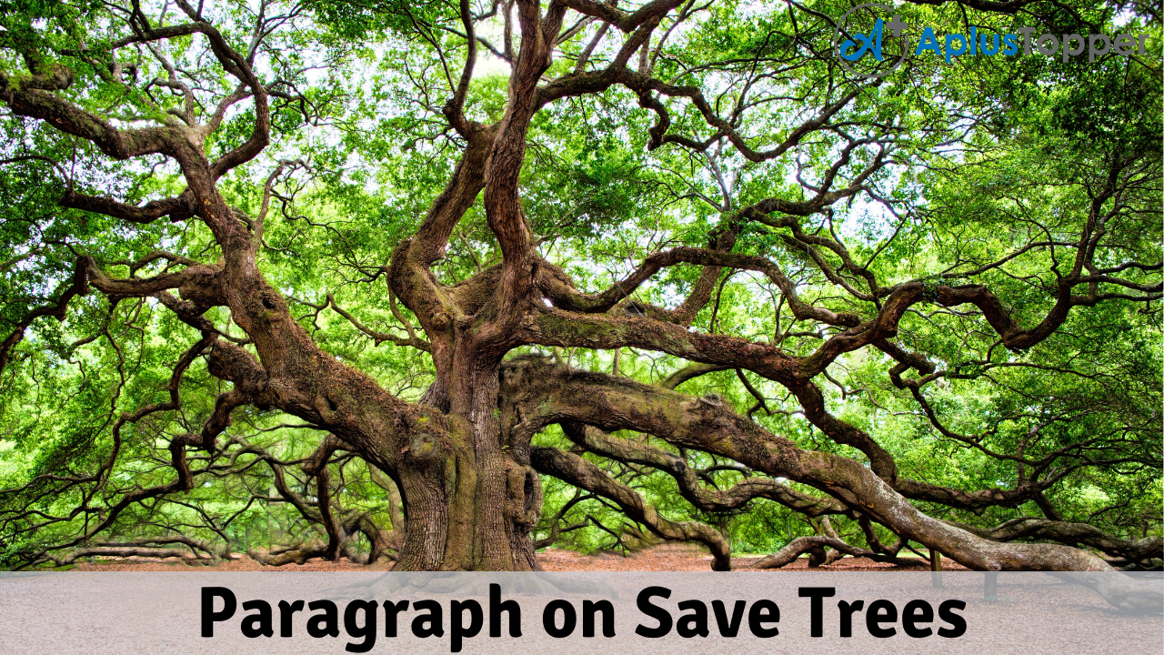 Paragraph on Save Trees