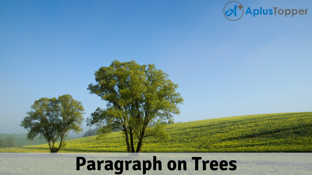 Paragraph on Trees